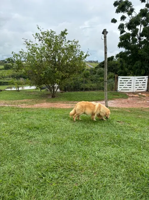 Dia a Dia