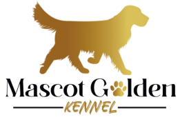 Mascot Golden Kennel